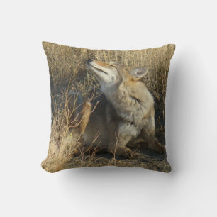 R17 Coyote Scratching Cushion