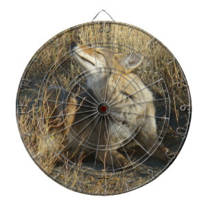 R17 Coyote Scratching Dartboard