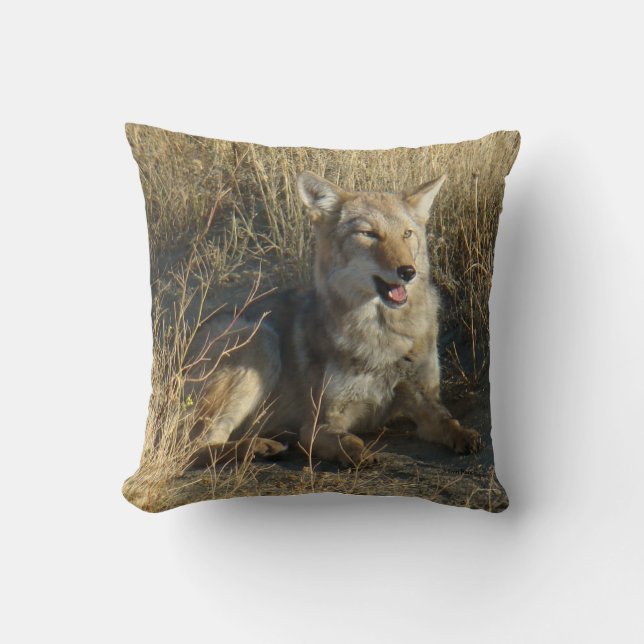 R18 Coyote Laying Cushion (Front)