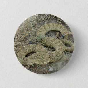 R20 Prairie Rattlesnake 6 Cm Round Badge