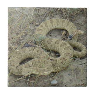 R20 Prairie Rattlesnake Tile
