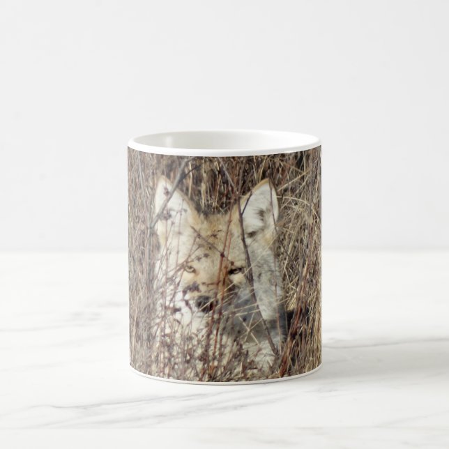 R21 Coyote "Watching You" Coffee Mug (Center)
