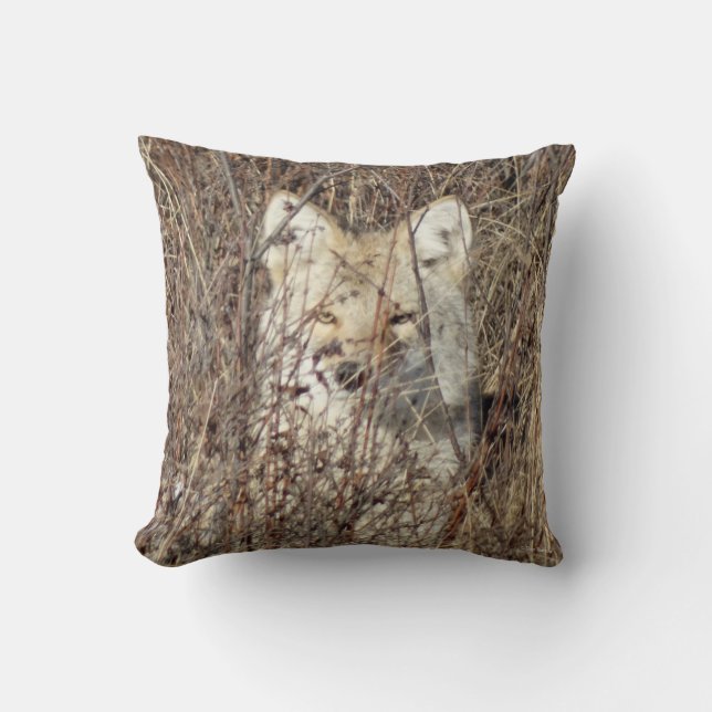 R21 Coyote "Watching You" Cushion (Front)
