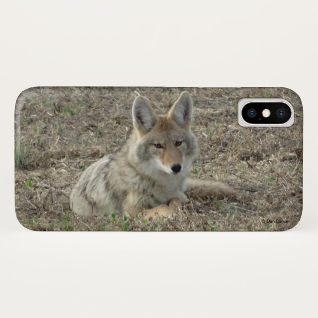 R22 Coyote Laying Case-Mate iPhone Case (Back (Horizontal))