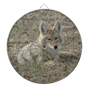R22 Coyote Laying Dartboard