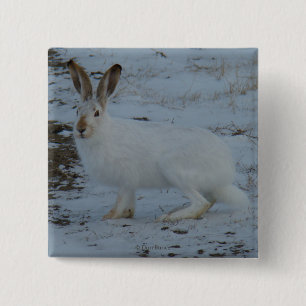 R23 Snowshoe Hare 15 Cm Square Badge