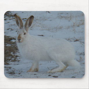 R23 Snowshoe Hare Mouse Mat