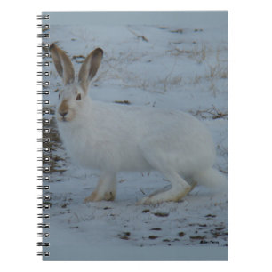 R23 Snowshoe Hare Notebook