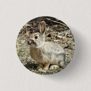 R24 Cotton-tail Rabbit 3 Cm Round Badge