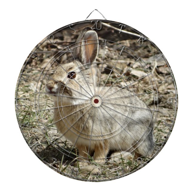 R24 Cotton-tail Rabbit Dartboard (Front)