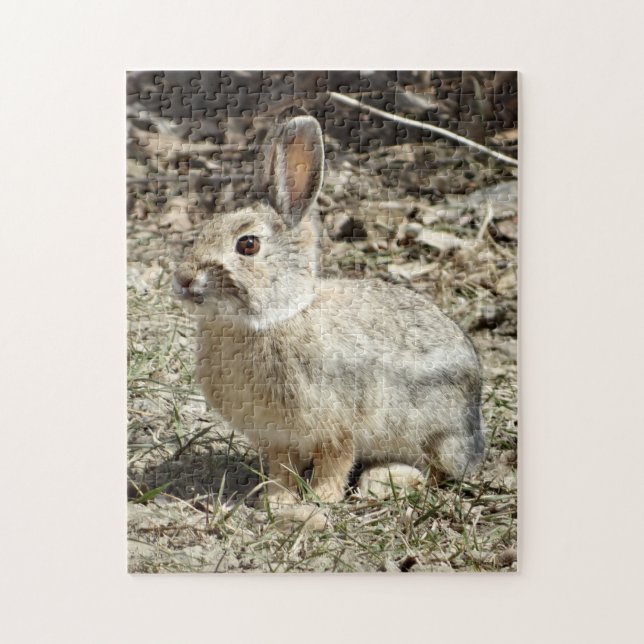 R24 Cotton-tail Rabbit Jigsaw Puzzle (Vertical)