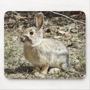 R24 Cotton-tail Rabbit Mouse Mat