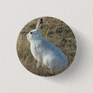 R25 Snowshoe Hare 3 Cm Round Badge