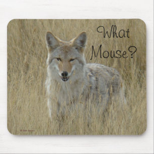 R2 Coyote in Tall Grass Mouse Mat
