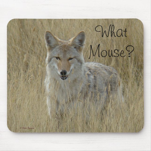 R2 Coyote in Tall Grass Mouse Mat (Front)