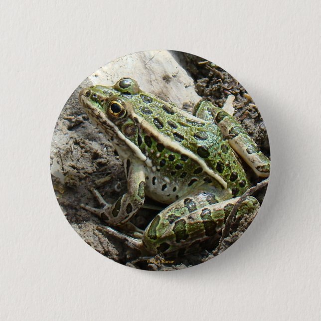 R3 Leopard Frog 6 Cm Round Badge (Front)