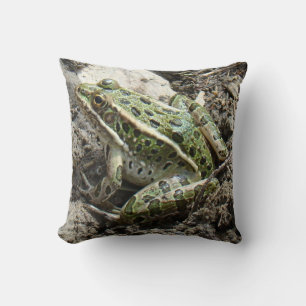 R3 Leopard Frog Cushion