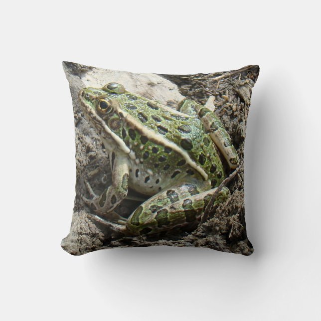 R3 Leopard Frog Cushion (Front)