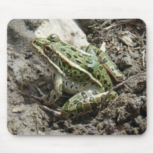 R3 Leopard Frog Mouse Mat