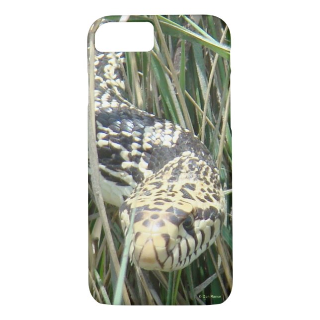 R4 Bull Snake in Grass Case-Mate iPhone Case (Back)