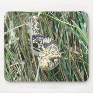 R4 Bull Snake in Grass Mouse Mat