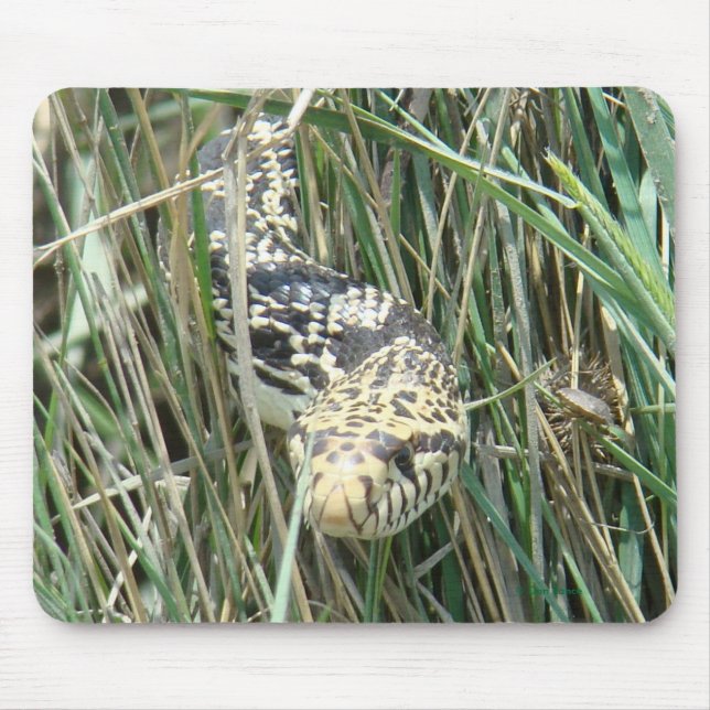 R4 Bull Snake in Grass Mouse Mat (Front)