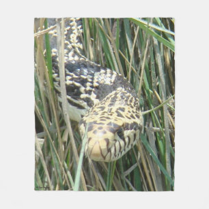 R4 Bull Snake in the Grass Fleece Blanket
