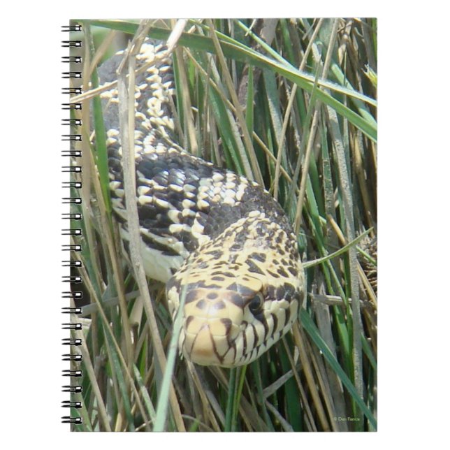 R4 Bull Snake Notebook (Front)
