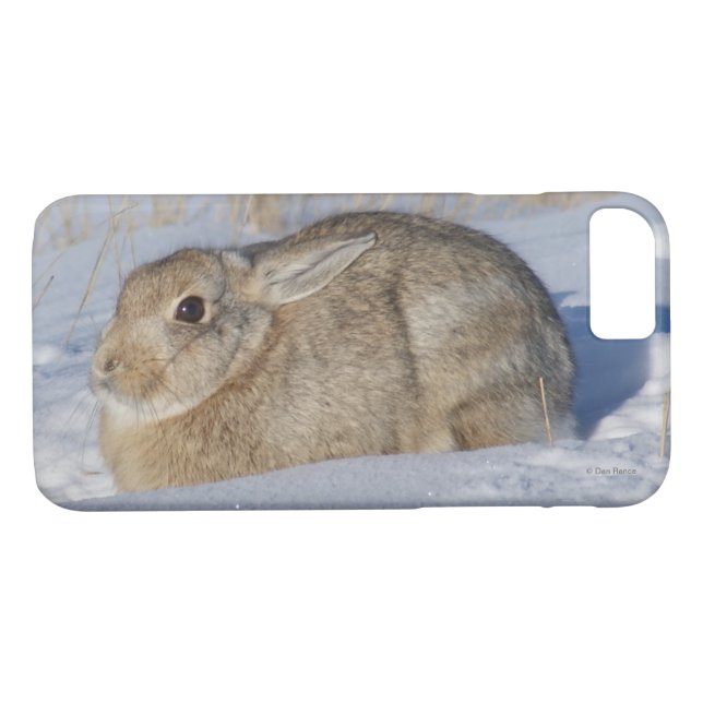 R5 Cottontail Rabbit in Snow Case-Mate iPhone Case (Back (Horizontal))