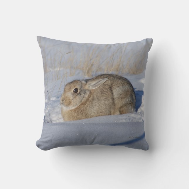 R5 Cottontail Rabbit in Snow Cushion (Front)