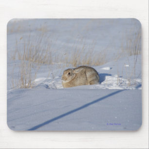 R5 Cottontail Rabbit in Snow Mouse Mat