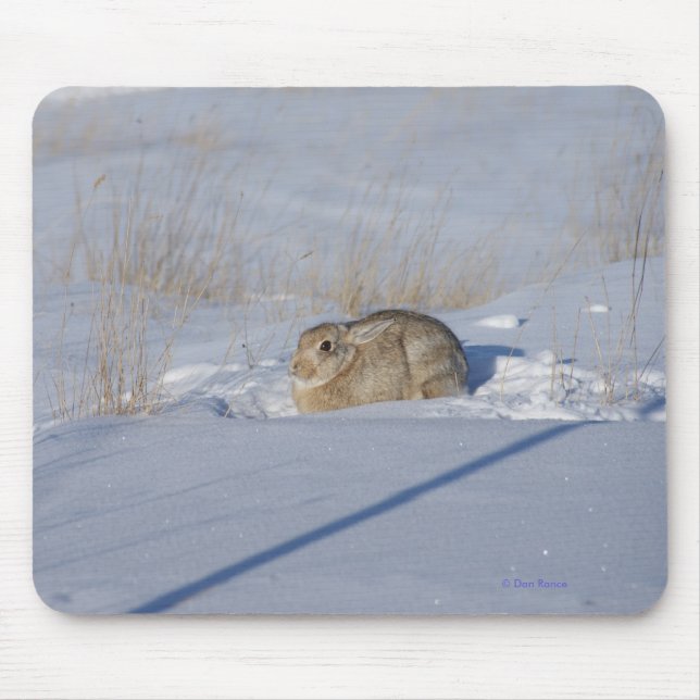 R5 Cottontail Rabbit in Snow Mouse Mat (Front)