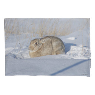 R5 Cottontail Rabbit in Snow Pillowcase