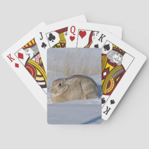 R5 Cottontail Rabbit in Snow Playing Cards