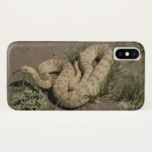 R6 Prairie Rattlesnake iPhone X Case