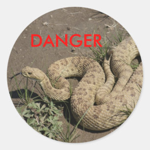 R6 Prairie Rattlesnake Classic Round Sticker