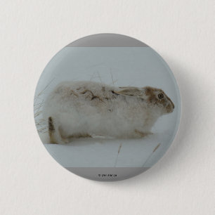 R7 Snowshoe Hare Ready to Run 6 Cm Round Badge