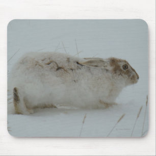 R7 Snowshoe Hare Ready to Run Mouse Mat