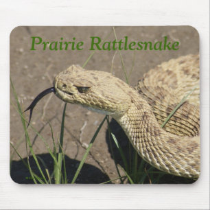 R8 Prairie Rattlesnake Head Mouse Mat