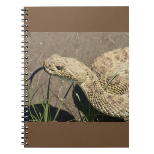 R8 Prairie Rattlesnake Head Shot Notebook