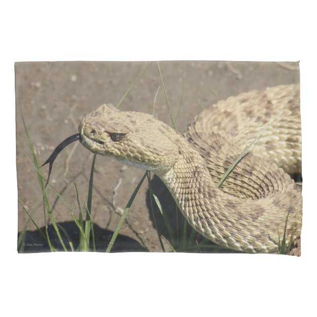 R8 Prairie Rattlesnake Head Shot Pillowcase (Front)