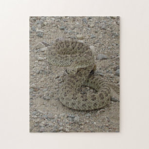 R9 Prairie Rattlesnake Coiled Jigsaw Puzzle