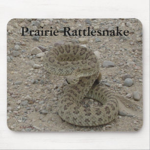 R9 Prairie Rattlesnake Coiled Mouse Mat