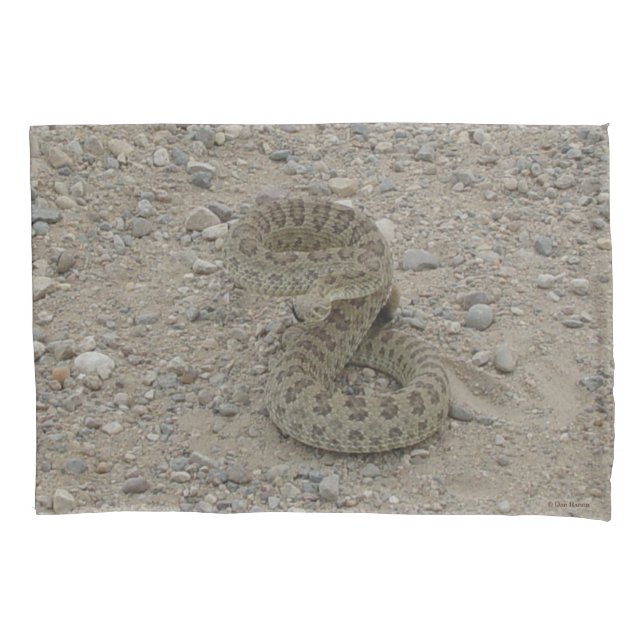 R9 Prairie Rattlesnake Coiled Pillowcase (Front)
