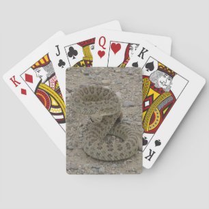 R9 Prairie Rattlesnake Coiled Playing Cards