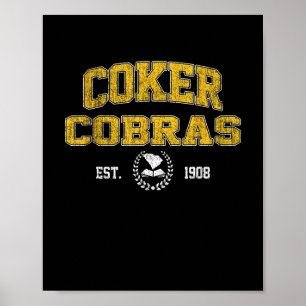 R College Cobras Arch Retro For Men Women Poster