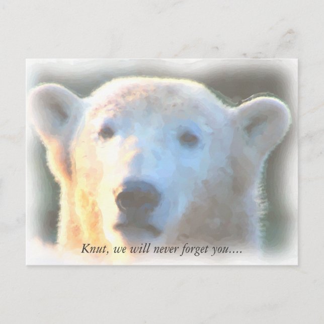 R.I.P. polar bear Knut watercolor Postcard (Front)