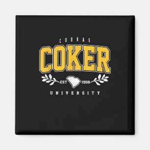 R Institute Cobras Technology Arch Retro For Men W Magnet