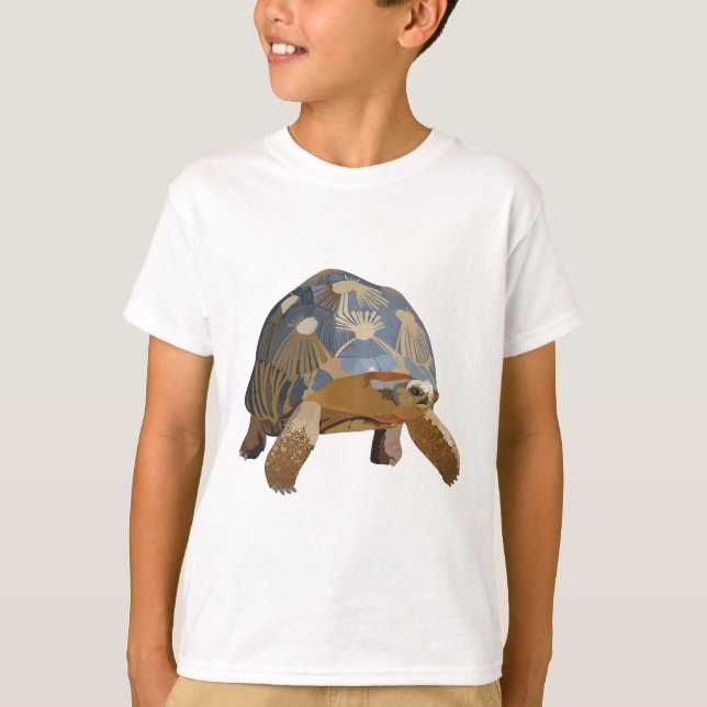 R is for Radiated Tortoise  T-Shirt (Front)