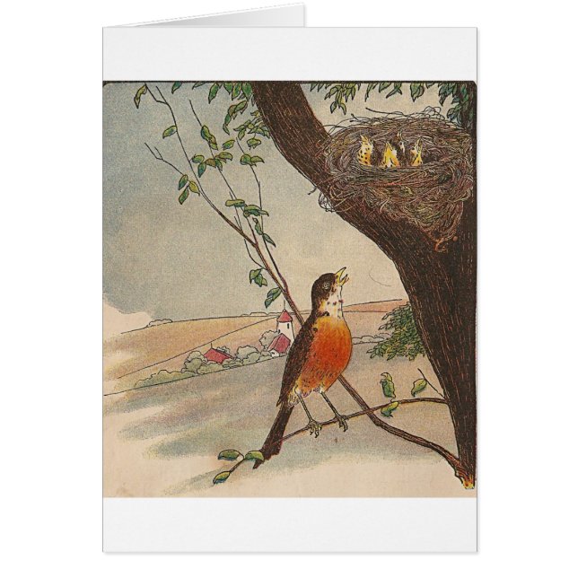 R is for Robin (Front)